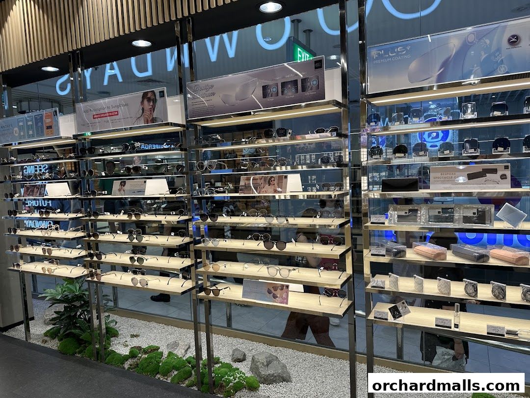 A well-lit retail display showcasing a wide variety of eyeglasses and sunglasses.