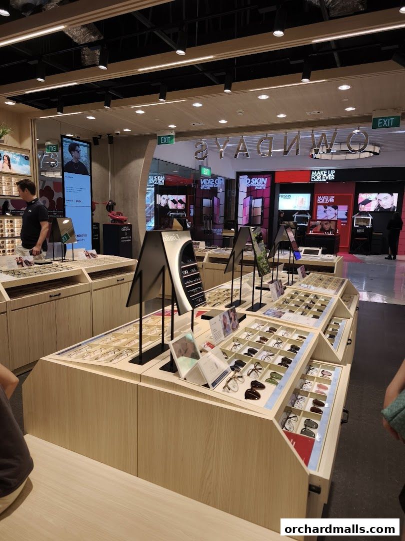 Interior view of an eyeglasses store showcasing various frames on display.