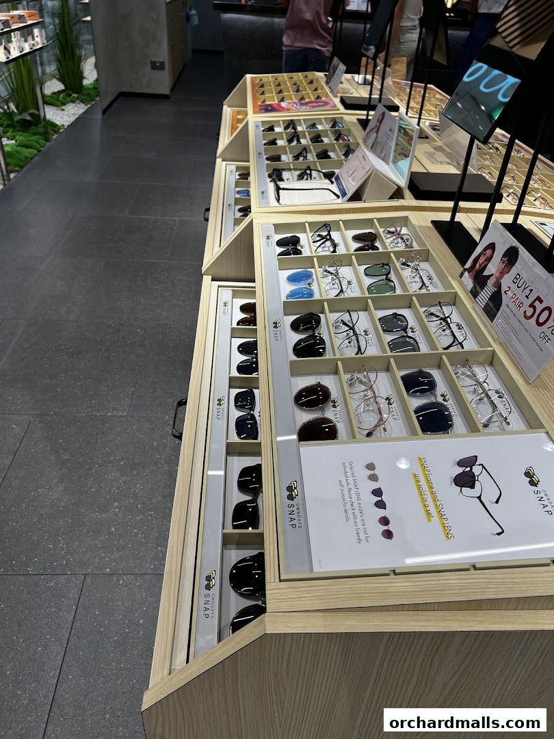 Display of various eyeglasses and sunglasses in a retail store.