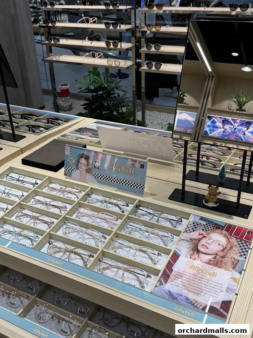 A display of various eyeglasses and sunglasses in a retail store.