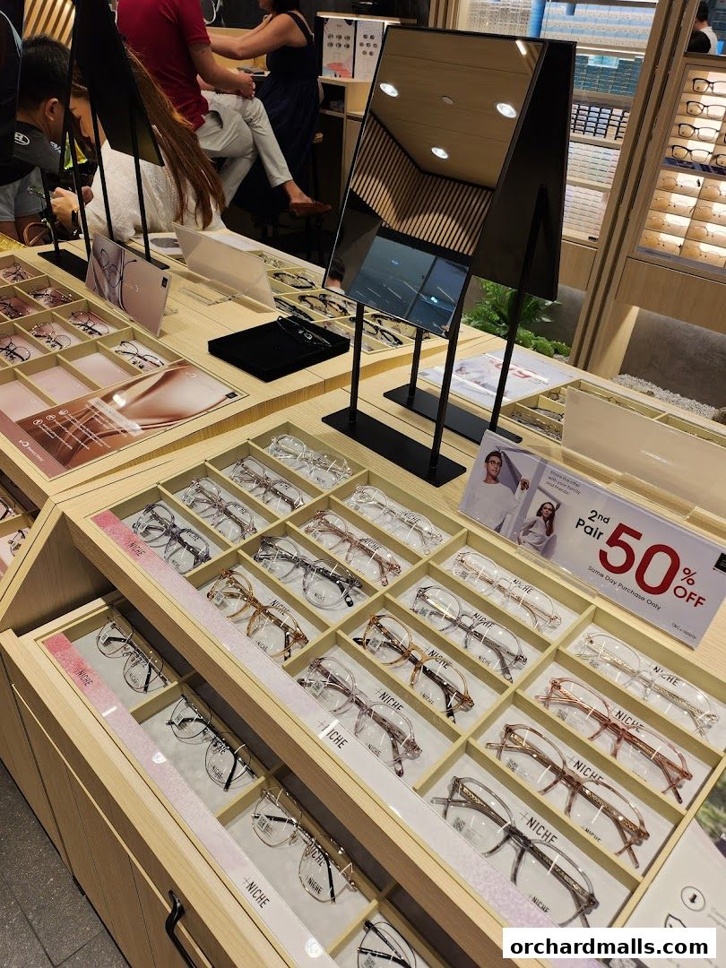 Display of various eyeglasses in wooden shelves with a promotional sign for 50% off.