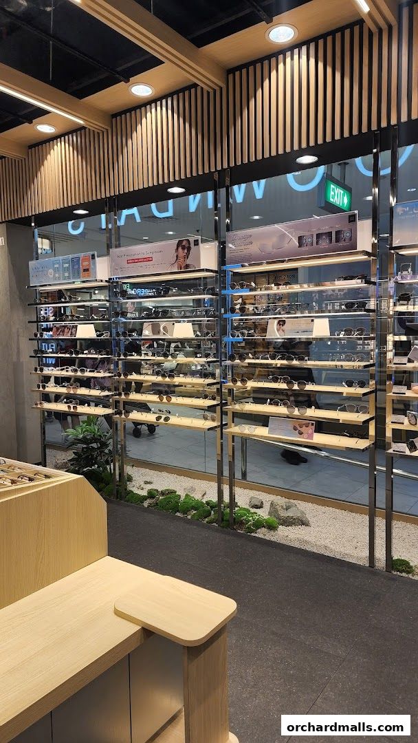 Modern eyewear store interior with shelves displaying various sunglasses and eyeglasses.