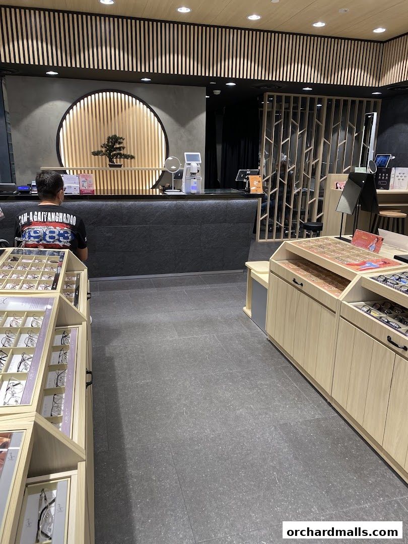 Interior view of an optical shop with displays of eyeglasses and a service counter.