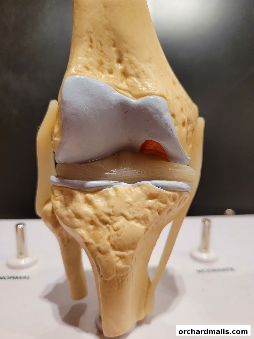 Pain Clinic  Wellness Philosophy Singapore - Pain Management Therapy Neck, Shoulder, Back,  Knee