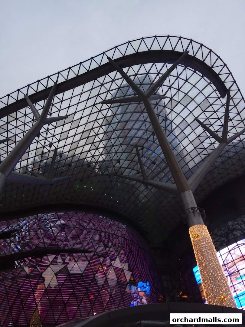 A view of the ION Orchard mall's distinctive architecture with a glass roof and illuminated columns.