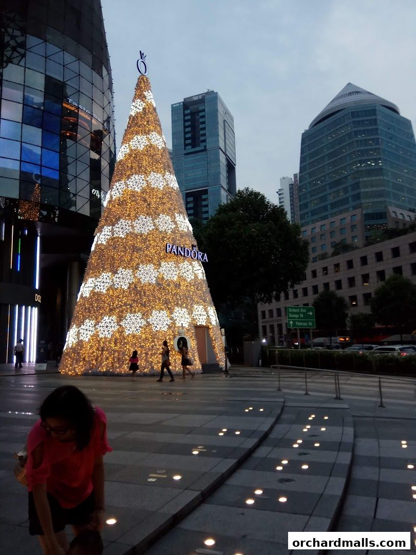 A large, illuminated Christmas tree with the Pandora logo stands in front of modern buildings.