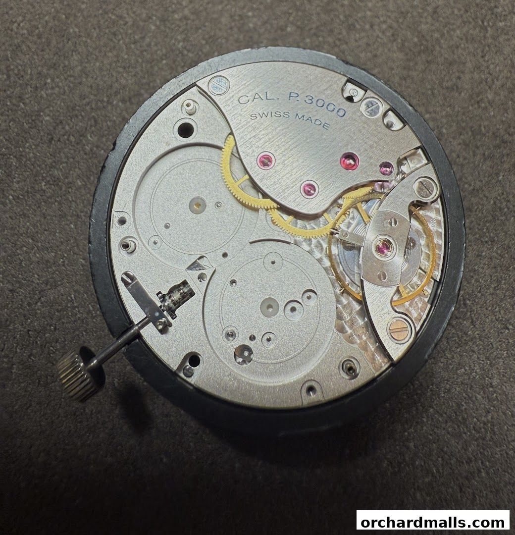 Close-up view of a finely crafted watch movement, labeled 'CAL. P. 3000 SWISS MADE'.