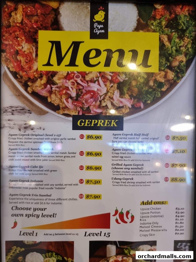Menu page for Papa Ayam 313somerset