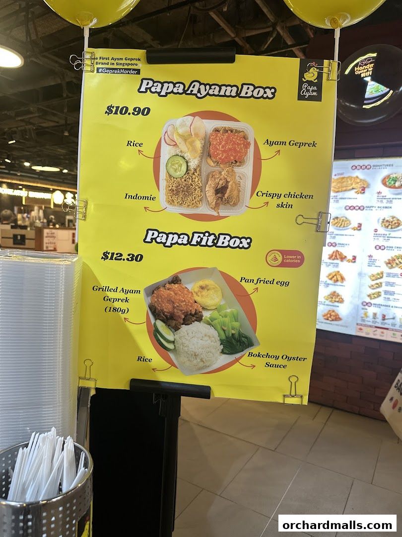 Menu page for Papa Ayam 313somerset