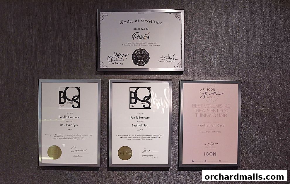 Framed awards and certificates displayed on a textured wall for Papilla Haircare.