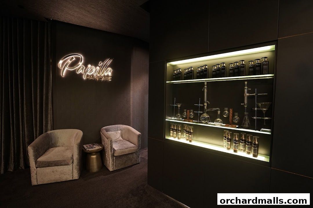 Interior of Papilla Haircare shop with seating and display shelves of products.