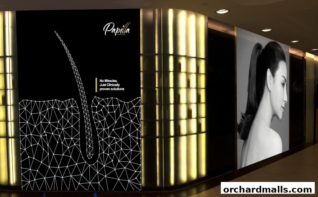 Shop front display for Papilla Haircare with a graphic of a hair follicle and a model's profile.