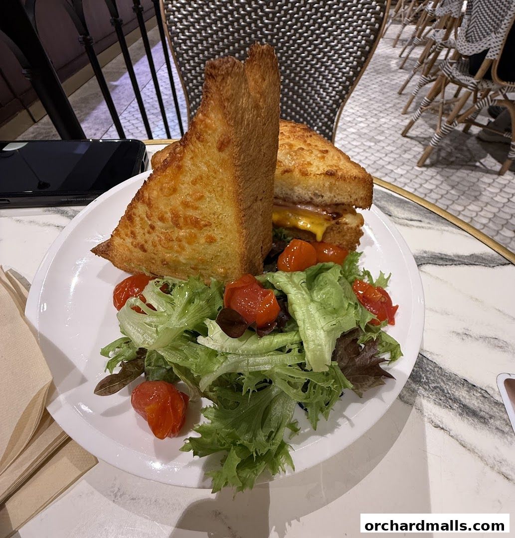 A delicious sandwich with a side of fresh salad and cherry tomatoes on a white plate.