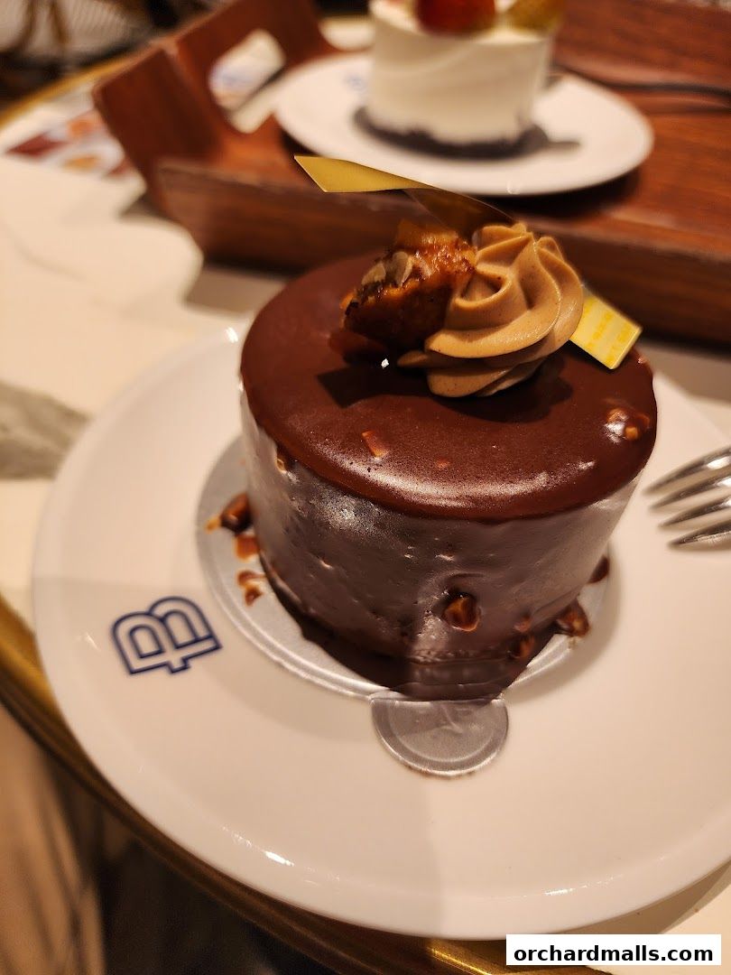 A close-up of a decadent chocolate cake with mocha frosting and nuts on a white plate.