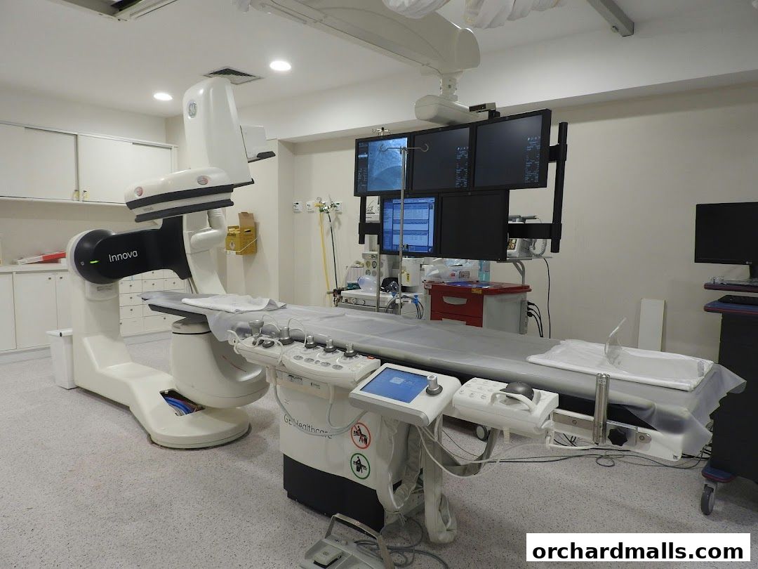 Patrick Lafdhiya Ptd Ltd