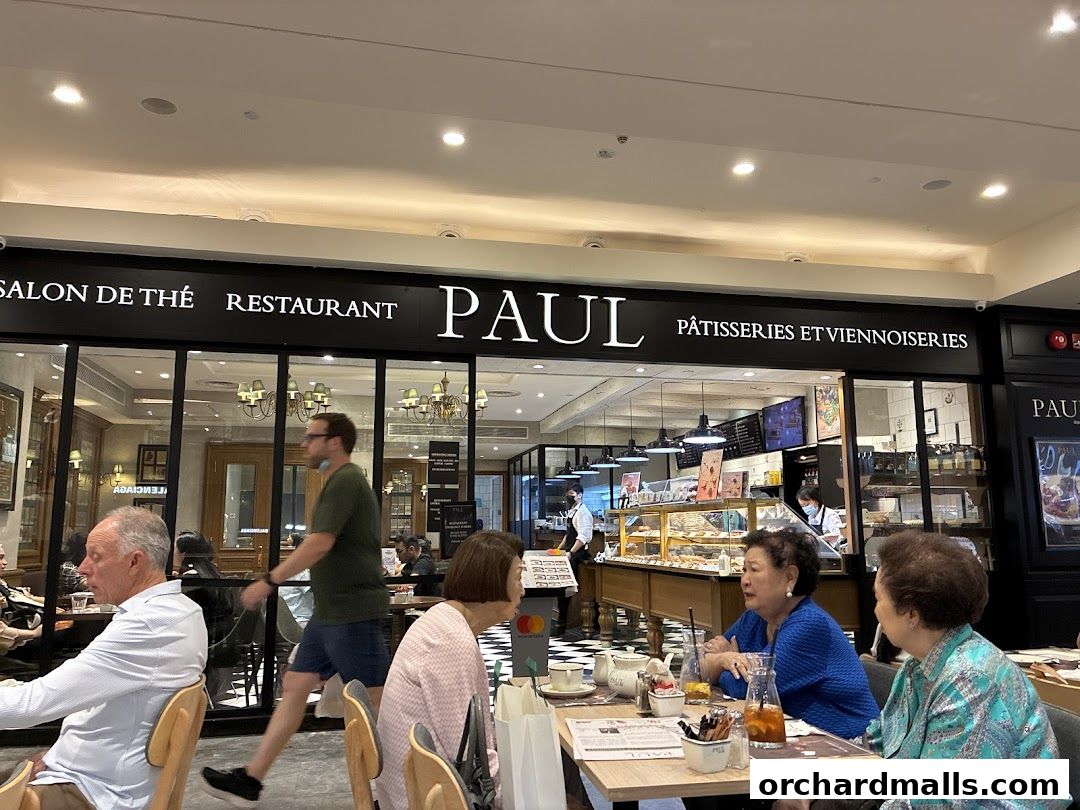 PAUL Paragon