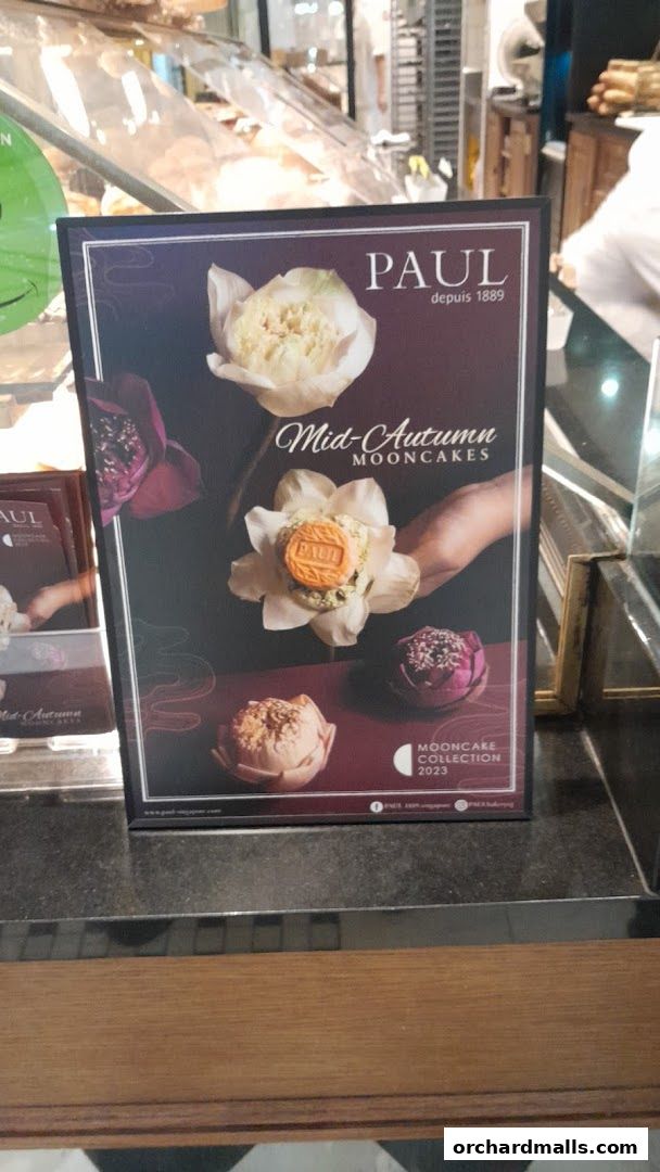 PAUL Paragon