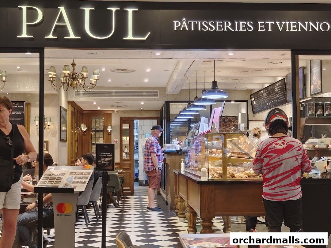 PAUL Paragon