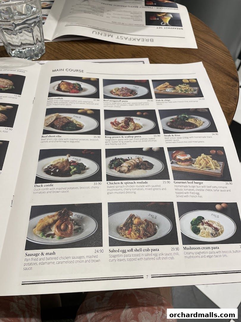 Menu page for PAUL Paragon