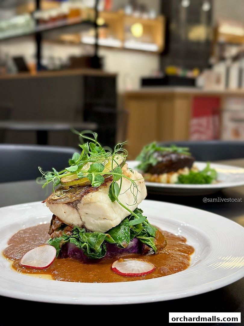 A beautifully plated fish dish with vegetables and sauce, served at Pazzion Cafe.