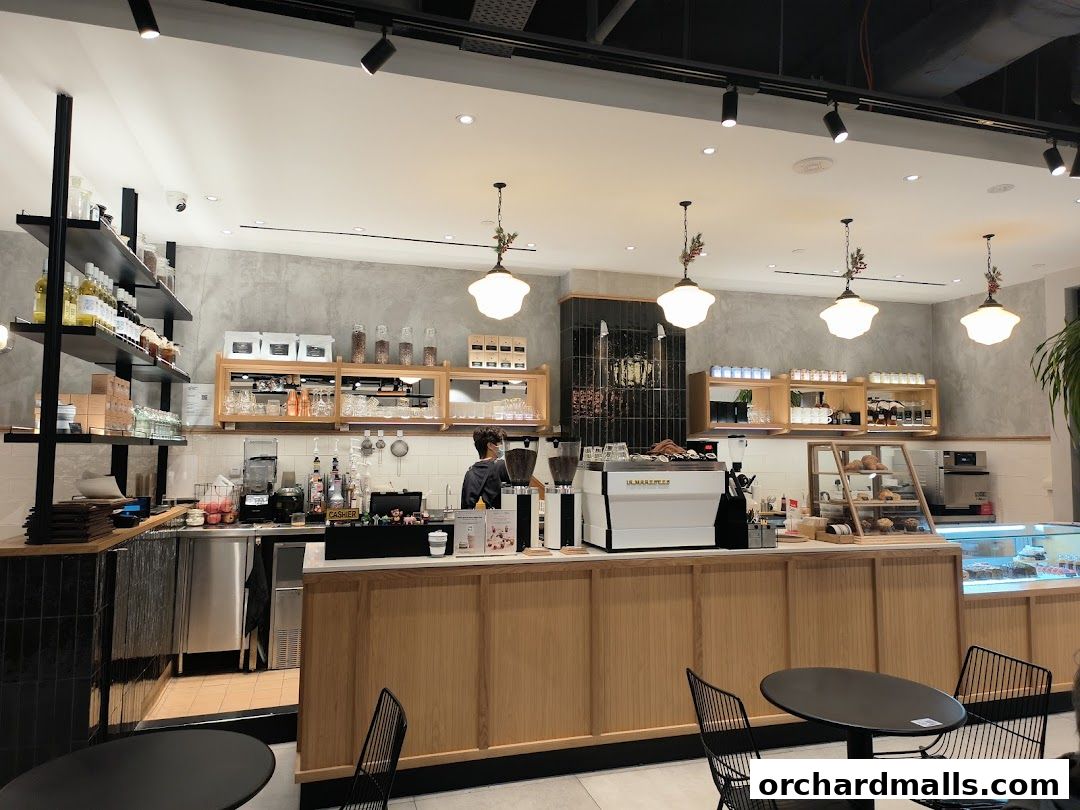Interior view of Pazzion Cafe with a coffee bar, display cases, and seating.