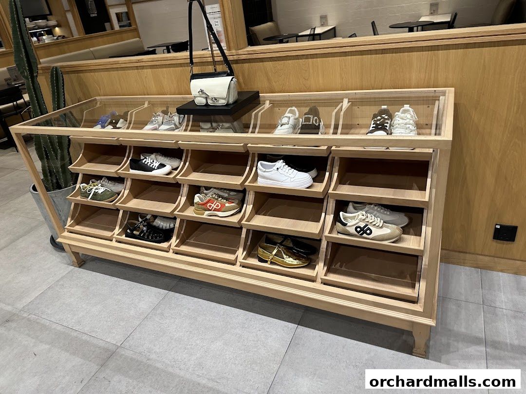 A display of various stylish shoes and a handbag in a retail store.