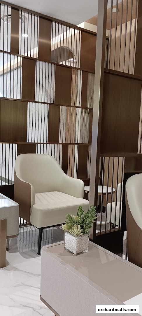 A modern waiting area with comfortable chairs and decorative shelving.