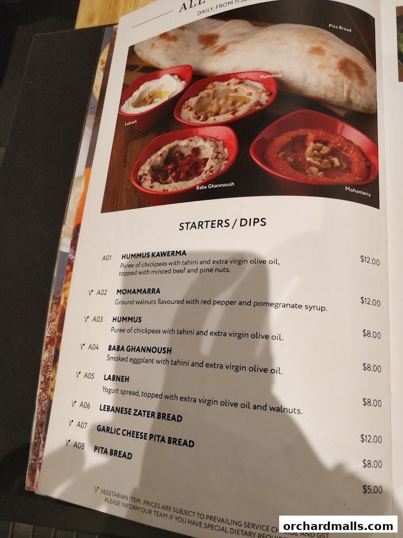A menu page showcasing Middle Eastern starters and dips with enticing descriptions and prices.