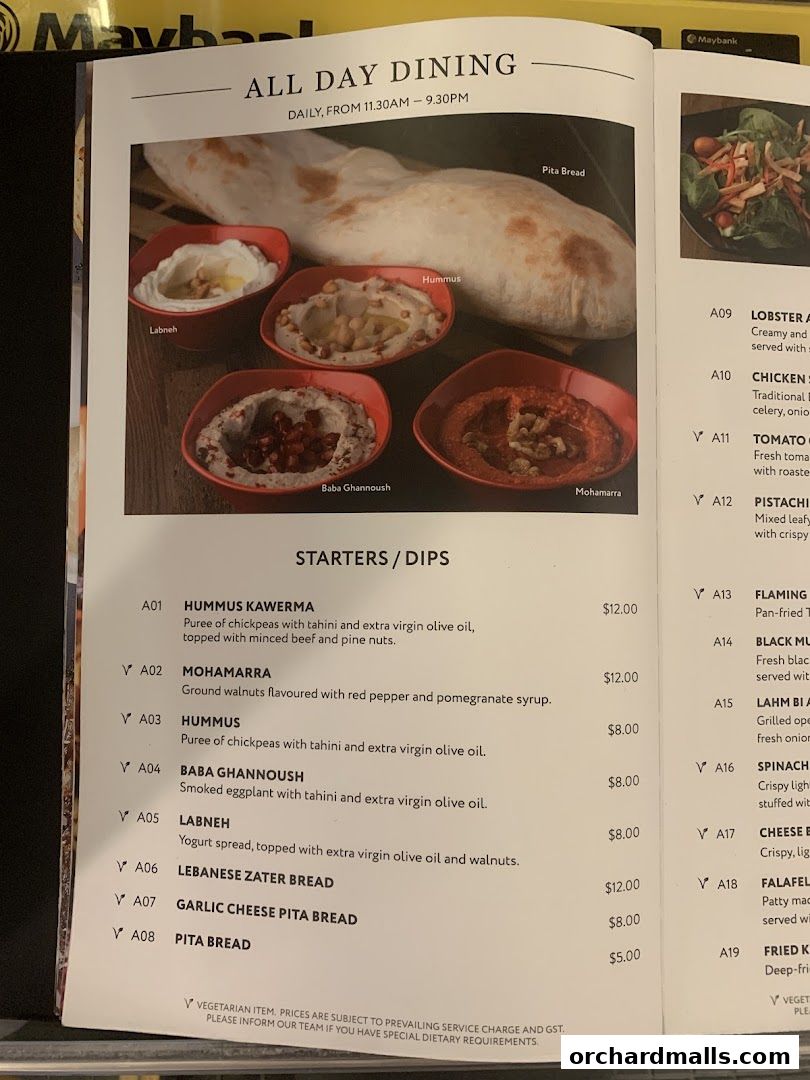 A menu page featuring Middle Eastern dips like hummus, baba ghannoush, and pita bread.