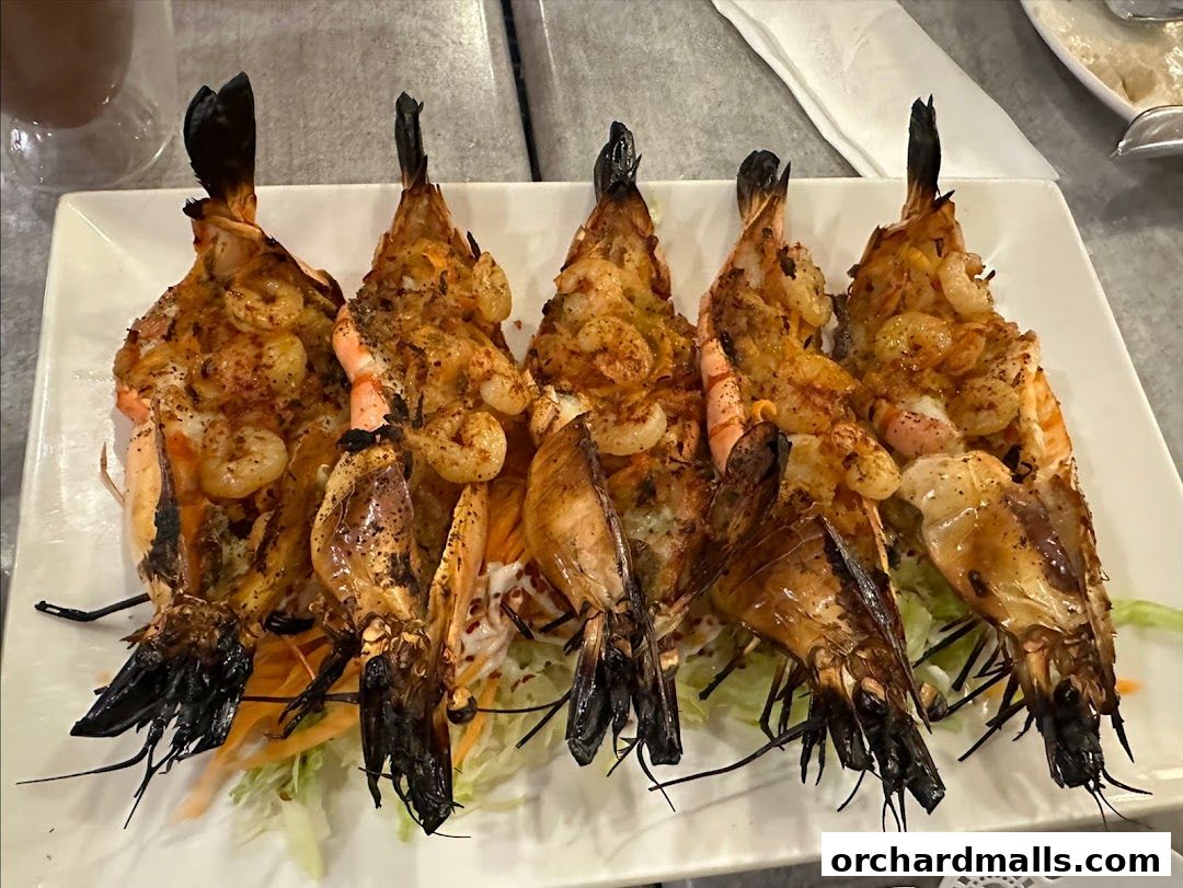 A platter of grilled jumbo shrimp with spices, served over a bed of shredded lettuce and carrots.