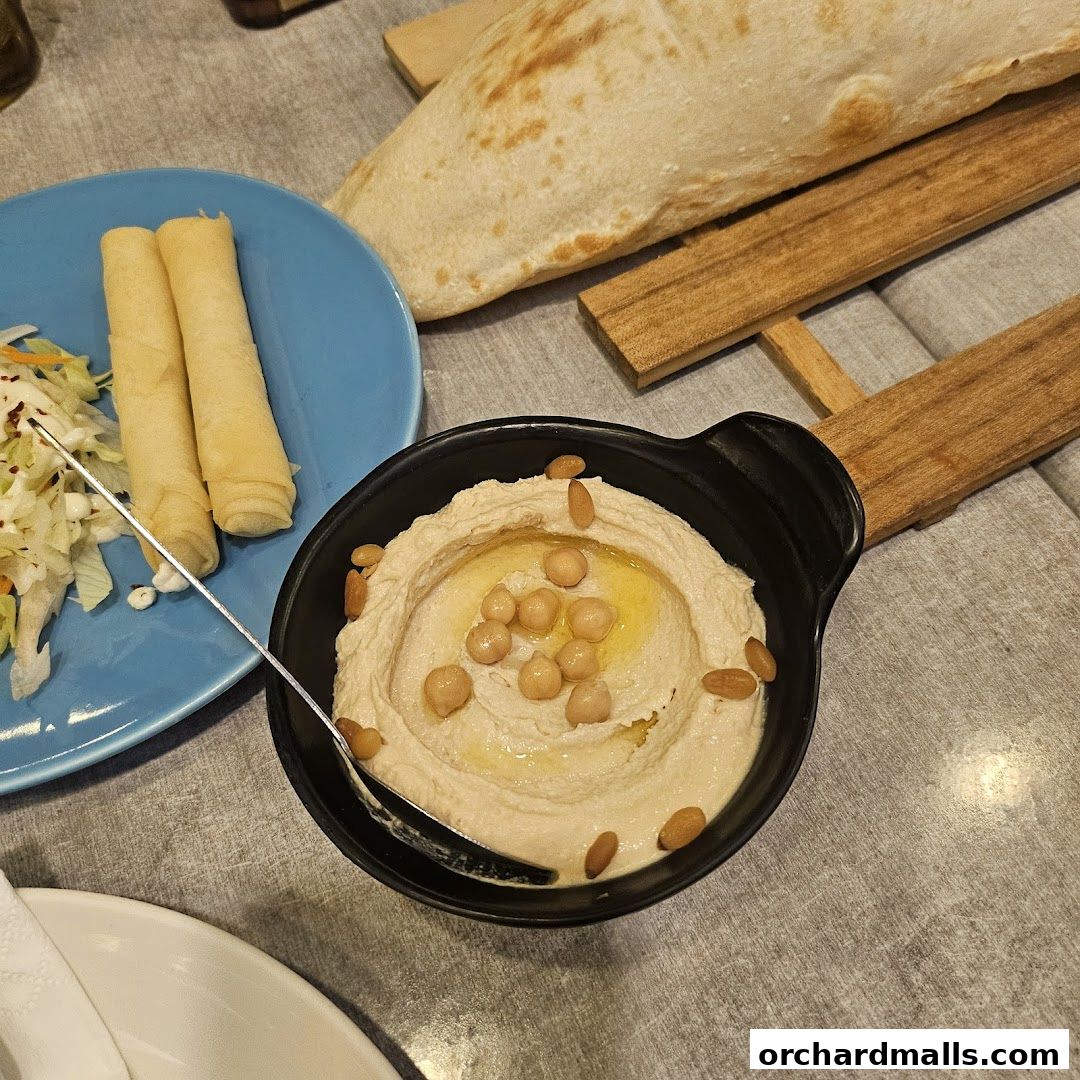 A close-up of a delicious hummus dish with chickpeas, pine nuts, and olive oil, served with spring rolls and pita bread.