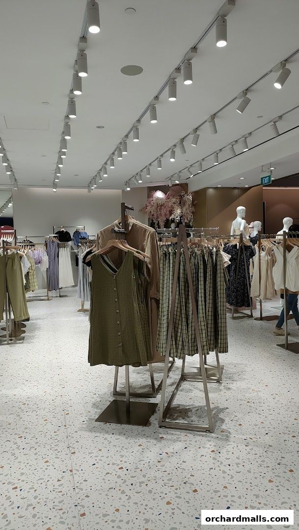 Playdress 313  Somerset