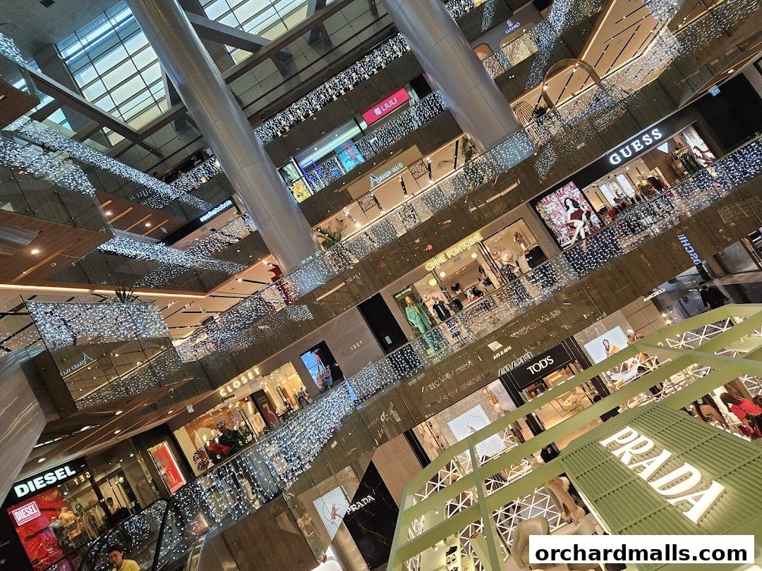 Prada Singapore Paragon