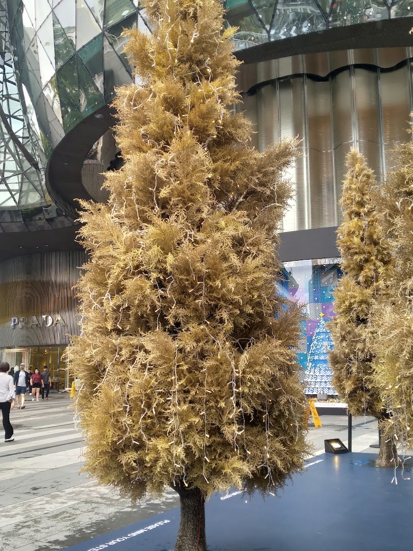 PRADA Singapore Pte. Ltd. Office