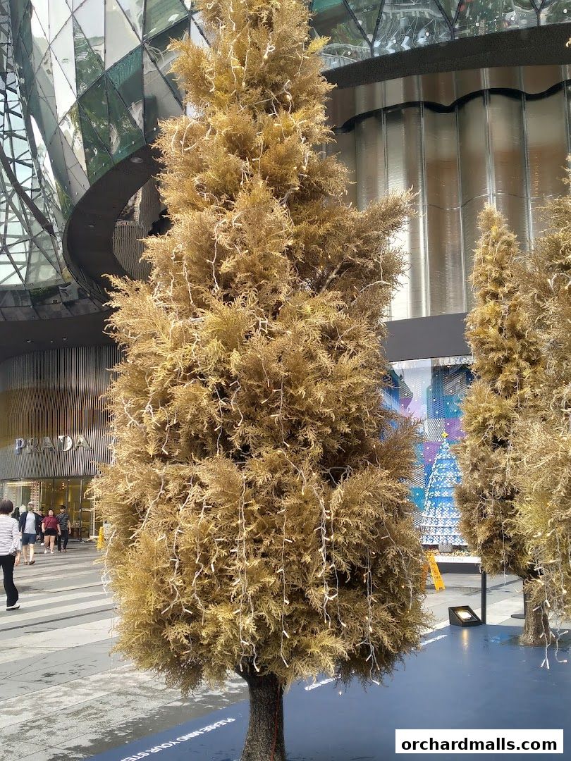 A festive outdoor scene with decorated trees and the Prada store entrance in the background.