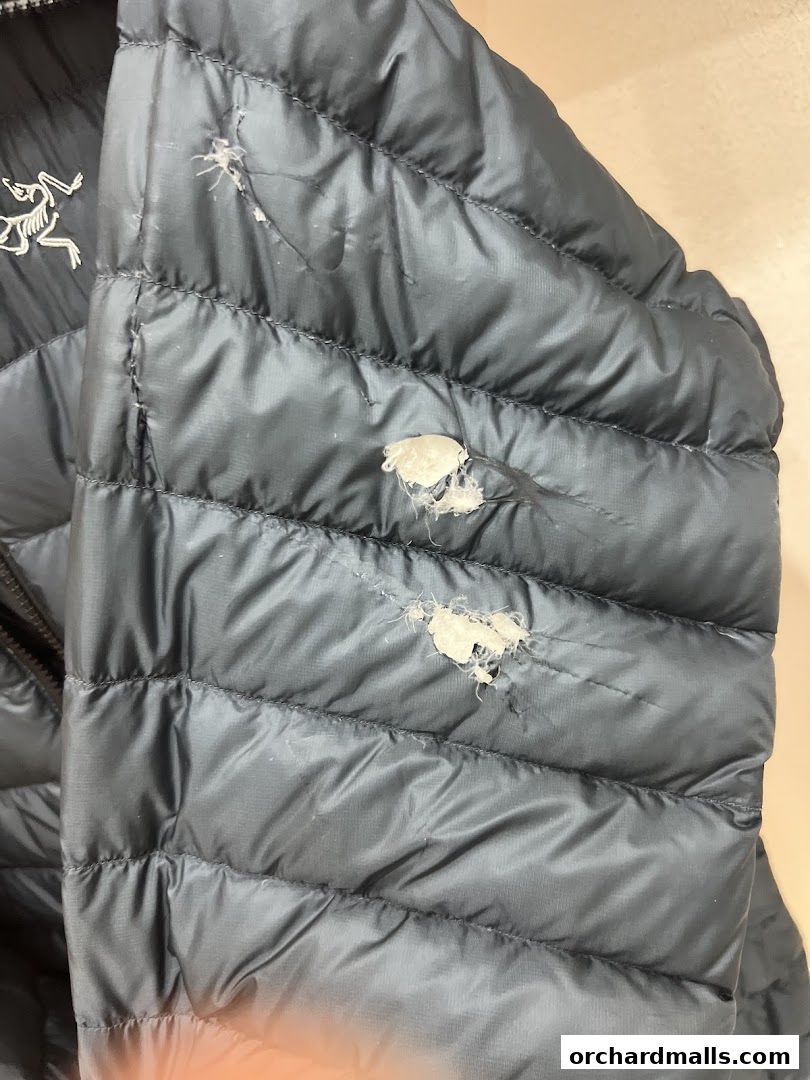 Pressto Asia Scotts Square Dry Cleaning  Bag Cleaning  Repair  Orchard