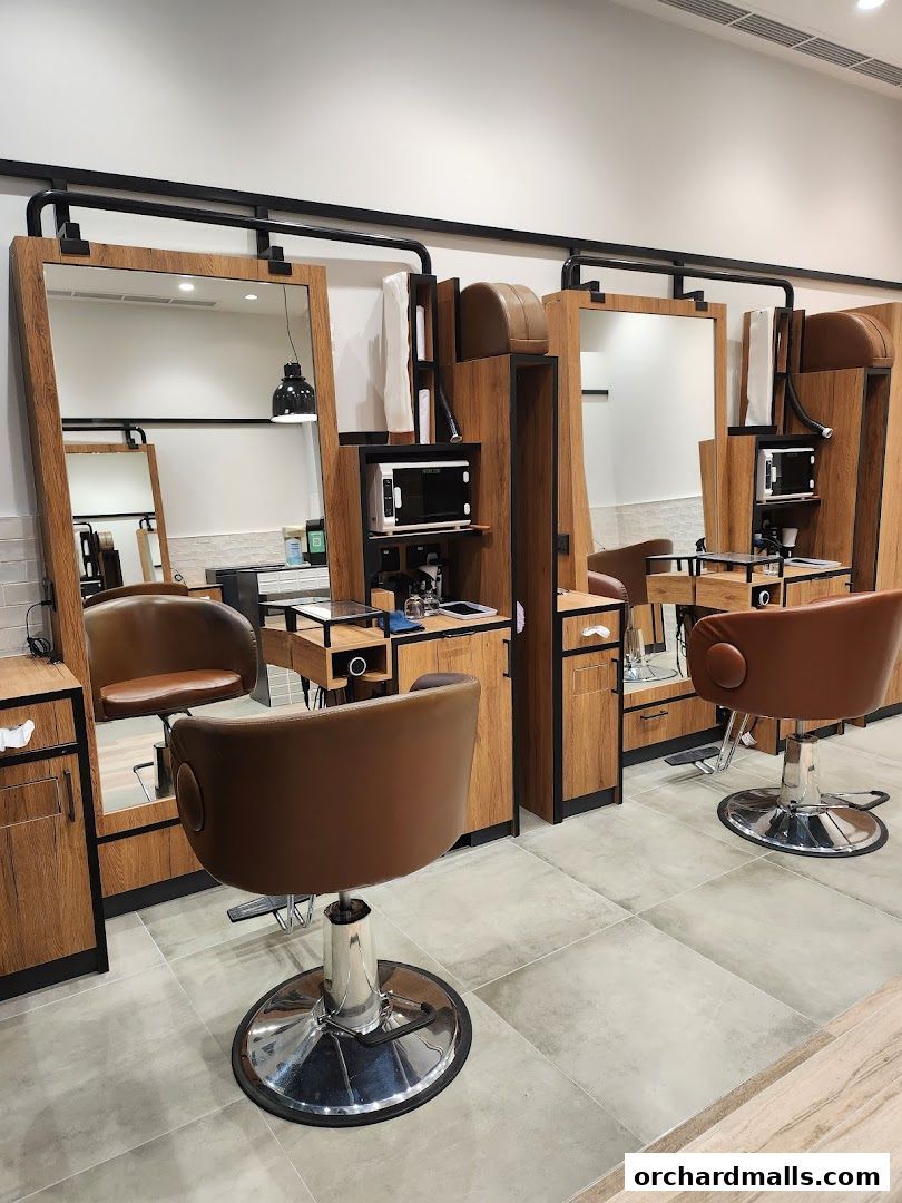 QB PREMIUM 313Somerset