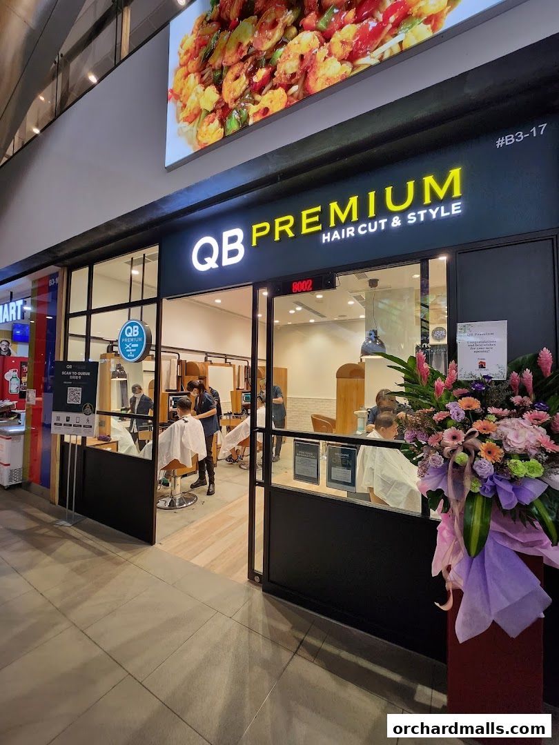 QB PREMIUM 313Somerset