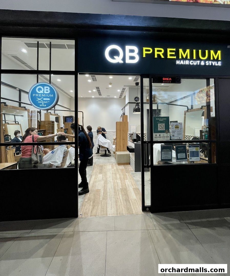 QB PREMIUM 313Somerset