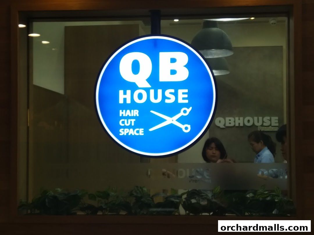 QB PREMIUM 313Somerset