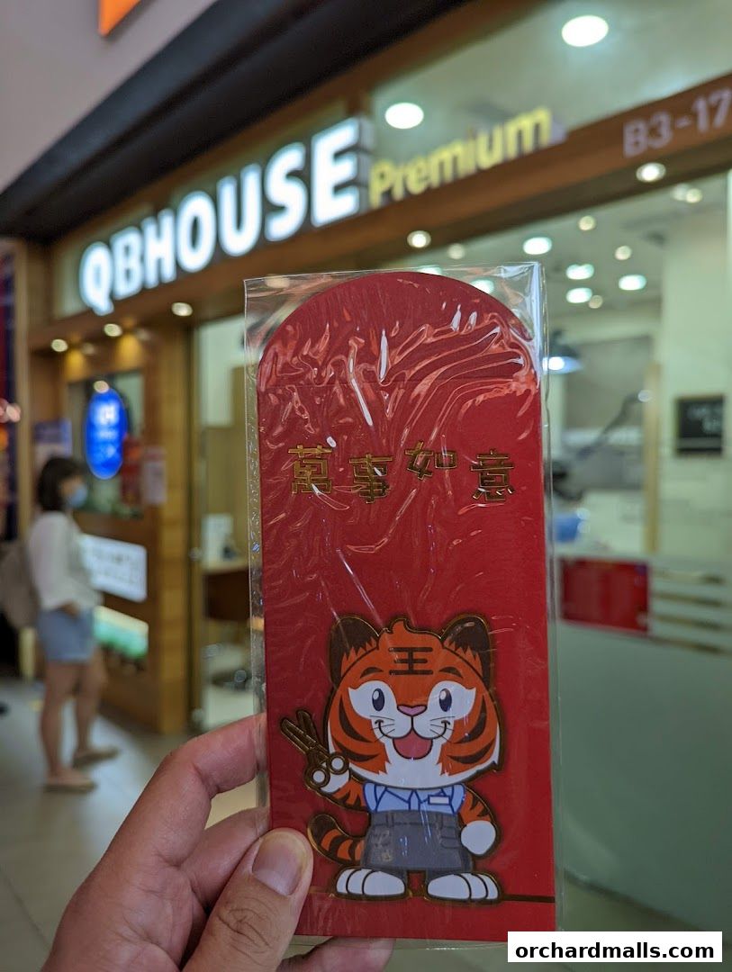 QB PREMIUM 313Somerset