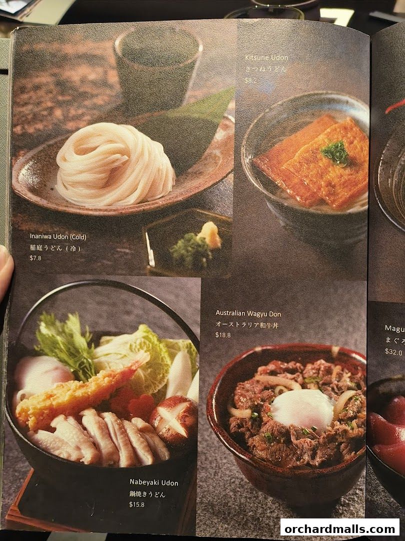 A menu page showcasing various Japanese udon and donburi dishes with prices.
