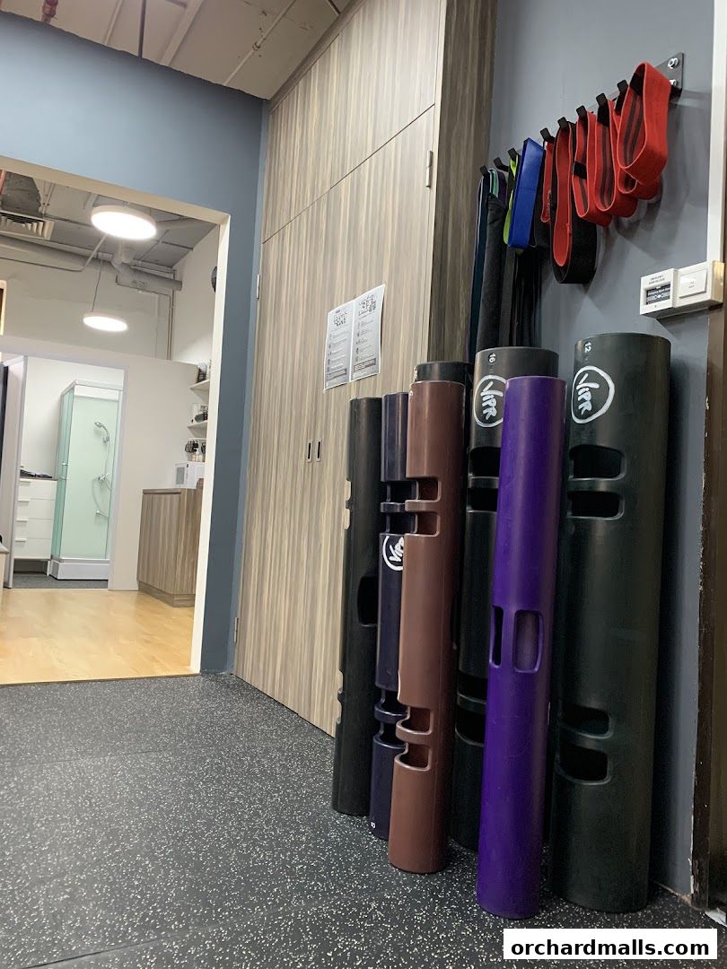 Interior view of a gym with various weights and resistance bands displayed.