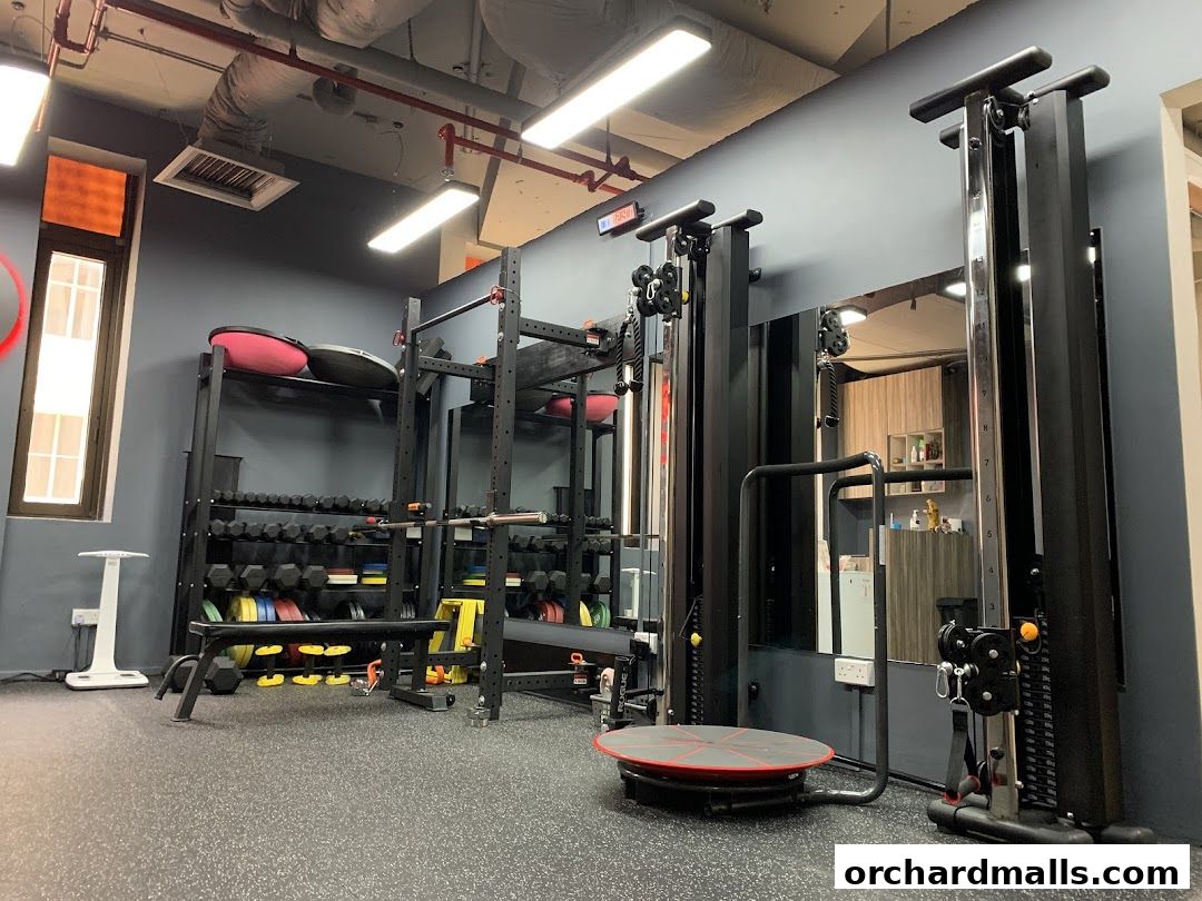 Interior view of a modern gym with weight racks, dumbbells, and exercise machines.