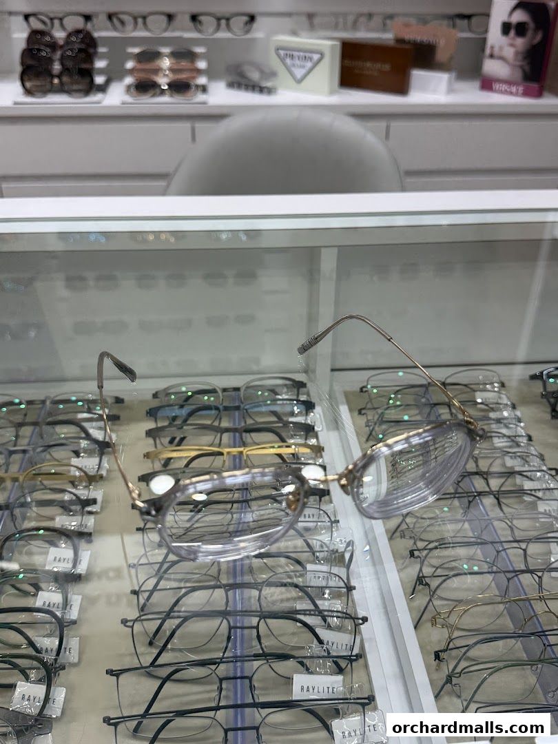 Raylite Optical - Orchard