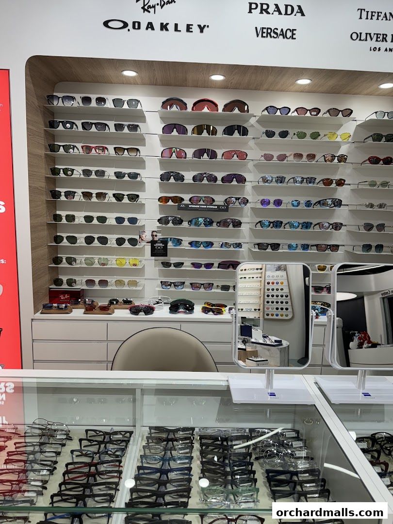 Raylite Optical - Orchard