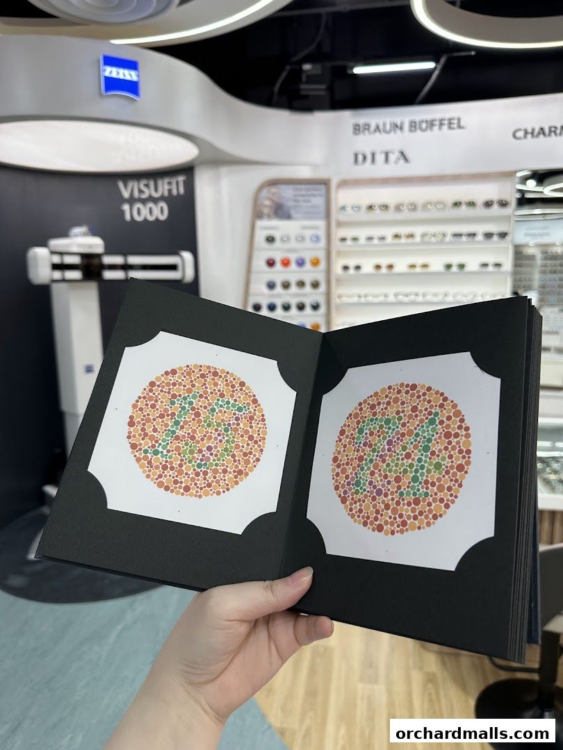 Raylite Optical - Orchard