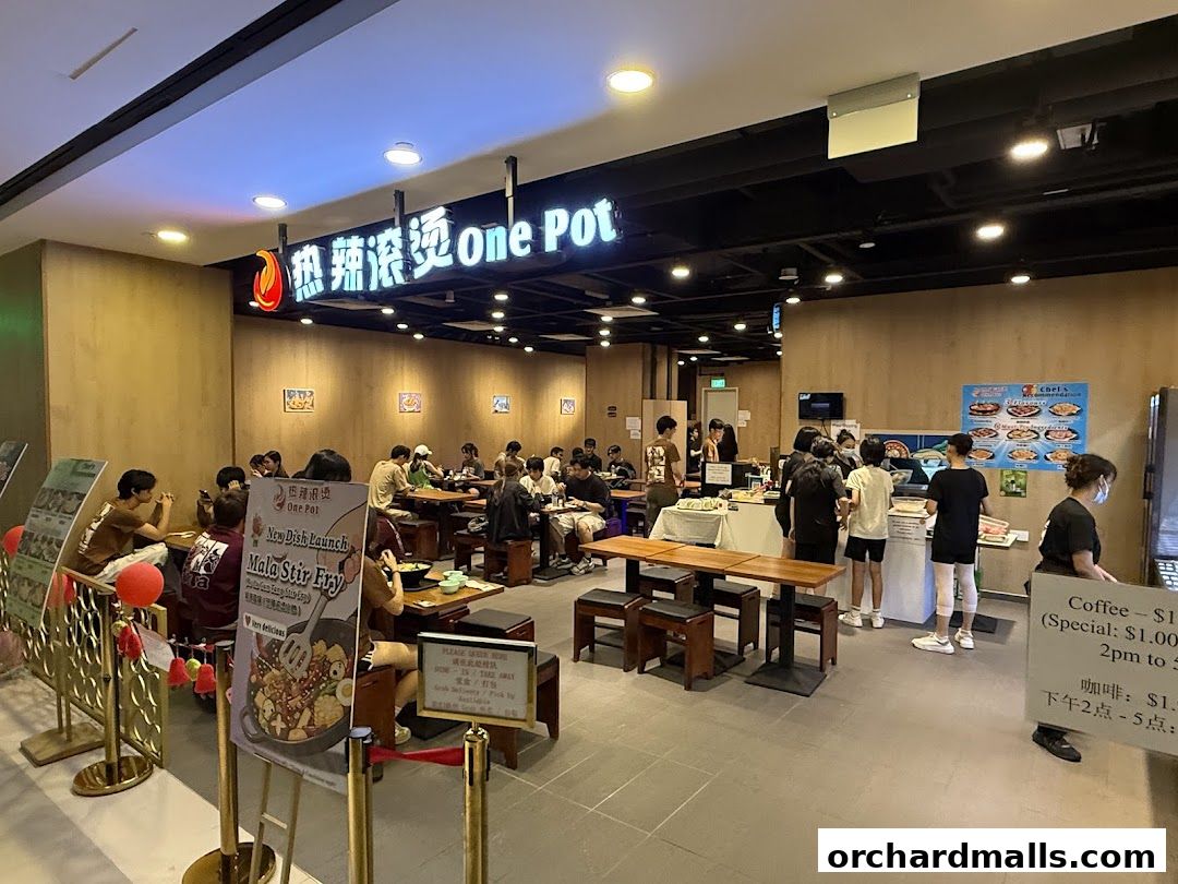 热辣滚烫 One Pot