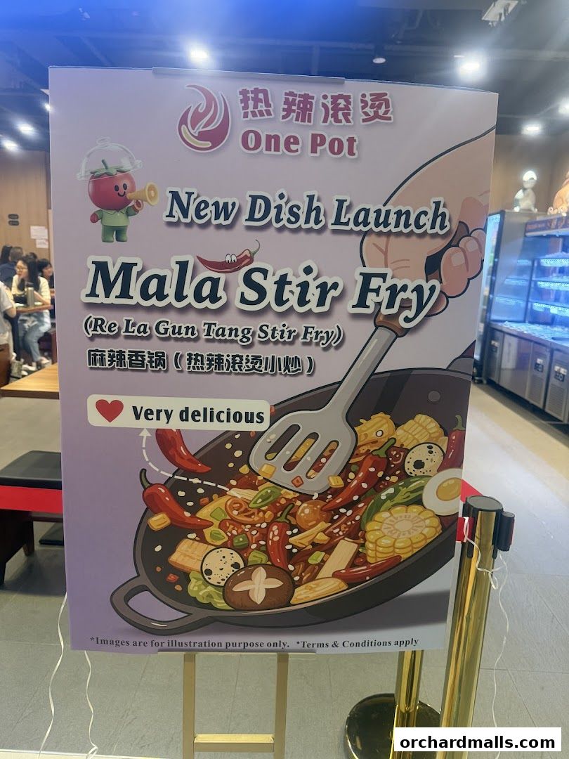 热辣滚烫 One Pot