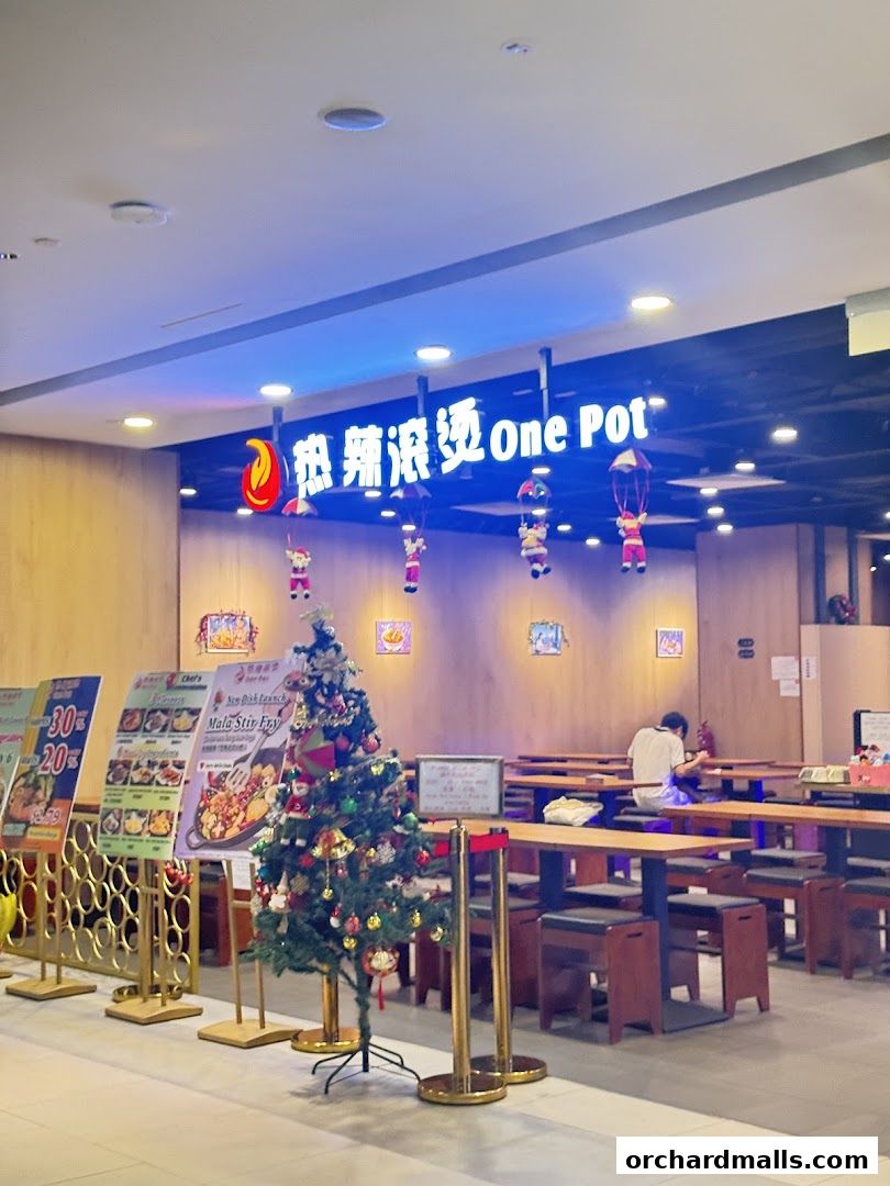 热辣滚烫 One Pot